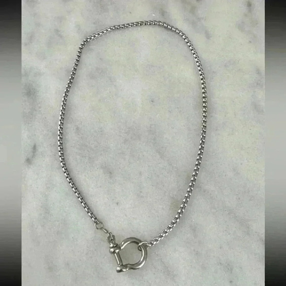 COPY - COPY - Silver Chunky Horse Bit Chain Necklace
Brand New - Picture 2 of 5